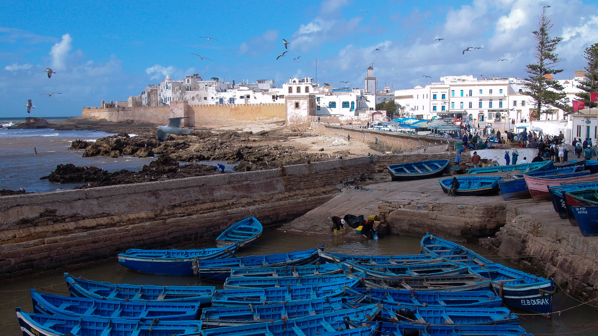 Essaouira: The Bride of the Atlantic Day Trip