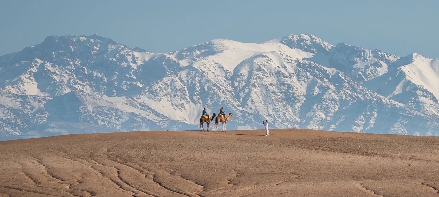 Agafay Desert: Camel Ride