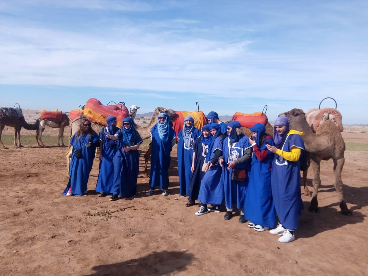 Camel Ride adventures in Palm grove Marrakech: 1hour